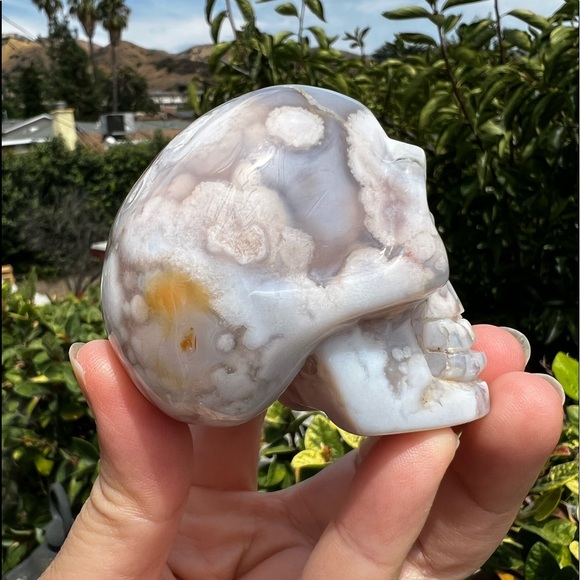 Flower Agate Skull - Picture 4 of 10